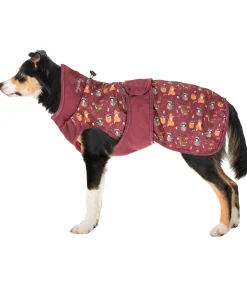 Imperméable pour chien Pumpkin Spice, 0 g