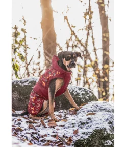 Imperméable pour chien Pumpkin Spice, 0 g