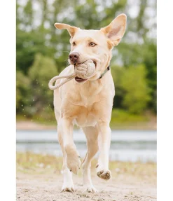 Jouet corde pour chien Jack