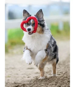 Jouet corde pour chien Valentine