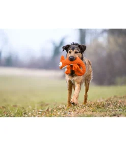 Jouet pour chien Chameleon