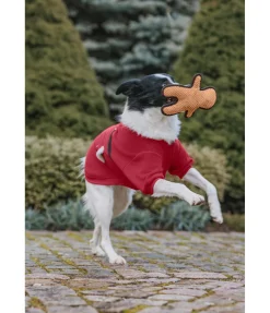 Jouet pour chien Gingerman