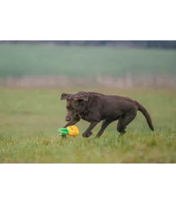 Jouet pour chien Pineapple