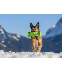 Jouet pour chien Strong Dino