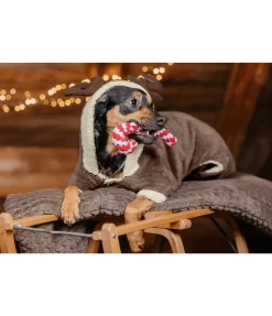 Jouet sucre d'orge en corde pour chien