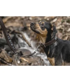 Laisse en cuir avec perles Austin