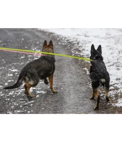 Laisse longue réfléchissante