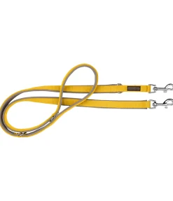 Laisse pour chien Jade