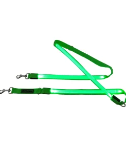 Laisse pour chien LED Loom