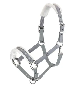 Licol Collection de Noël