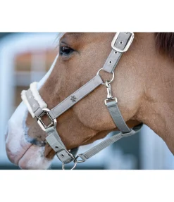 Licol Collection de Noël