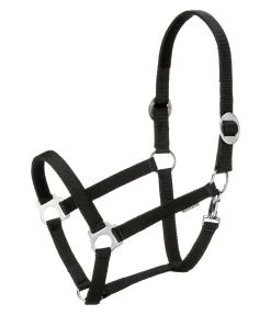 Licol Interchangeable