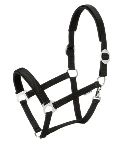 Licol Interchangeable