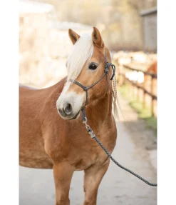 Licol à noeuds Haylie