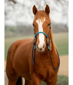 Licol à noeuds Lino