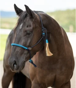 Licol à noeuds Lino