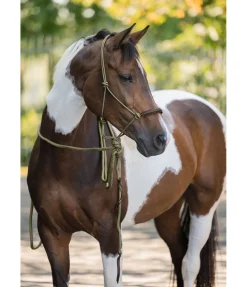 Licol à noeuds avec rênes Mecate Merano