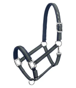 Licol Swiss Design II