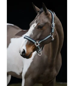 Licol Swiss Design II