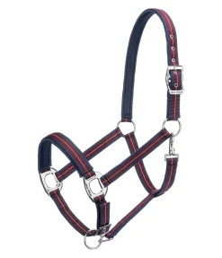 Licol Swiss Design II