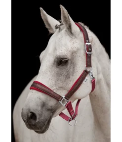 Licol Velvet Twinkle