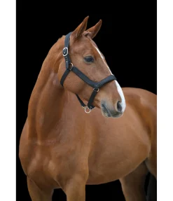 Licol anatomique Relaxation