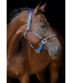 Licol anatomique Sophistication