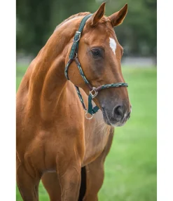 Licol anatomique Sophistication