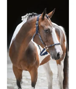 Licol anatomique Sophistication