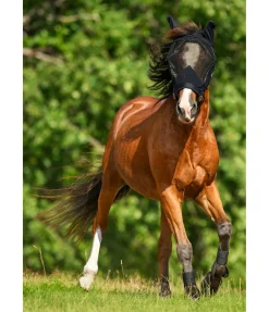 Licol avec masque anti-mouches intégré All-In-One