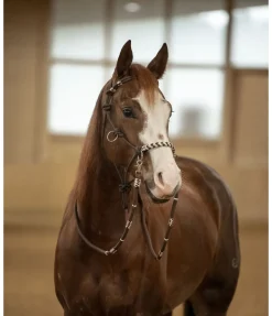 Licol de randonnée 3 en 1