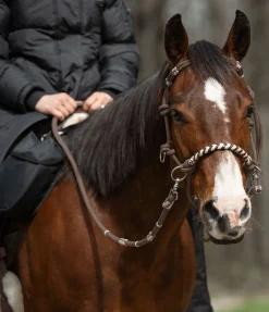 Licol de randonnée 3 en 1