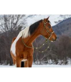 Licol de randonnée 3 en 1