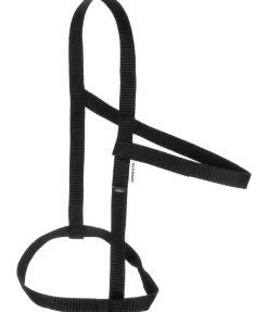 Licol de sécurité Safety