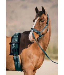 Licol de travail Freedom