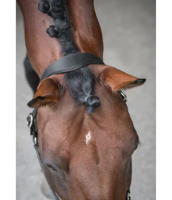 Licol en cuir Anatomical