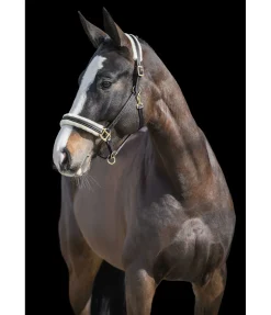 Licol en cuir avec polaire Teddy Stitch