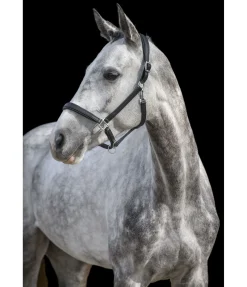 Licol en cuir synthétique SYLKA Animal Friendly