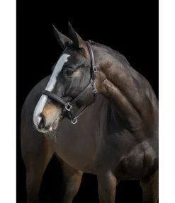 Licol en cuir synthétique SYLKA Animal Friendly