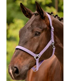 Licol en nylon à prix cassé II