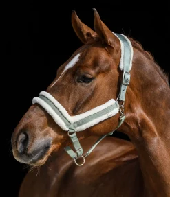 Licol en polaire Teddy Anatomical Relaxation