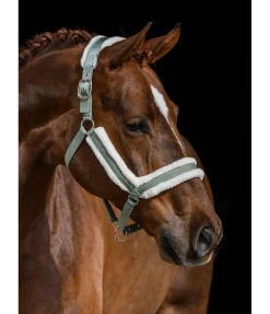 Licol en polaire Teddy Anatomical Relaxation