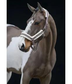 Licol en polaire Teddy Anatomical Relaxation