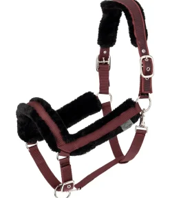 Licol en polaire Teddy Anatomical Relaxation