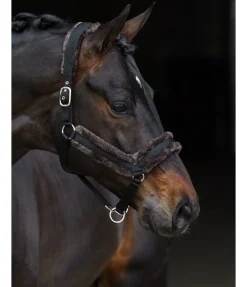 Licol en polaire Teddy Anatomical Relaxation