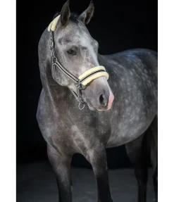 Licol en polaire Teddy Essential II