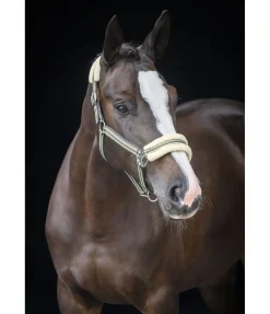 Licol en polaire Teddy Essential II