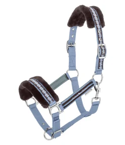 Licol en polaire Teddy Norway Spirit