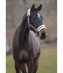 Licol en polaire Teddy à prix cassé III