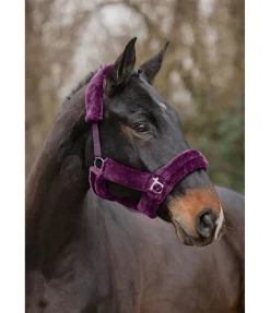 Licol en polaire Teddy Protection